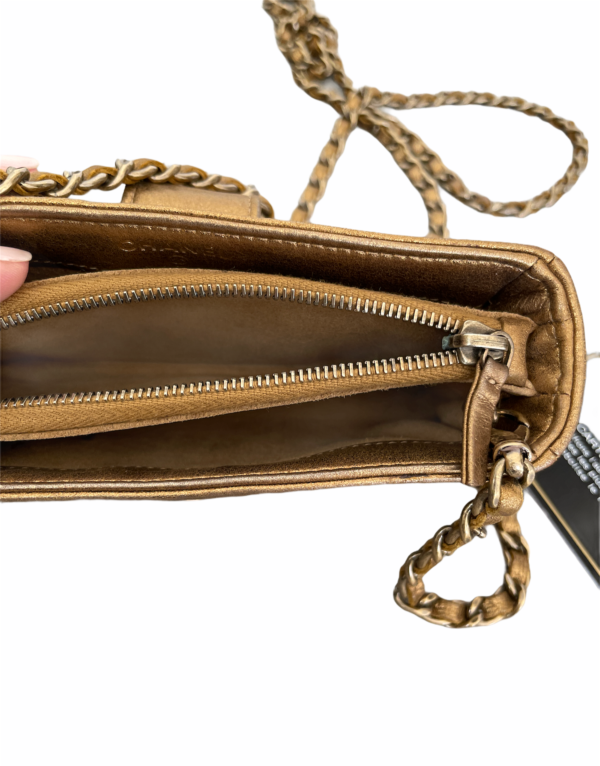 Chanel Wallet On Chain Python Bag - Image 3