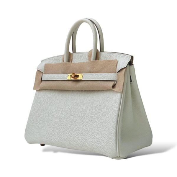 Hermes Birkin 25 Mushroom Togo GHW - Image 5