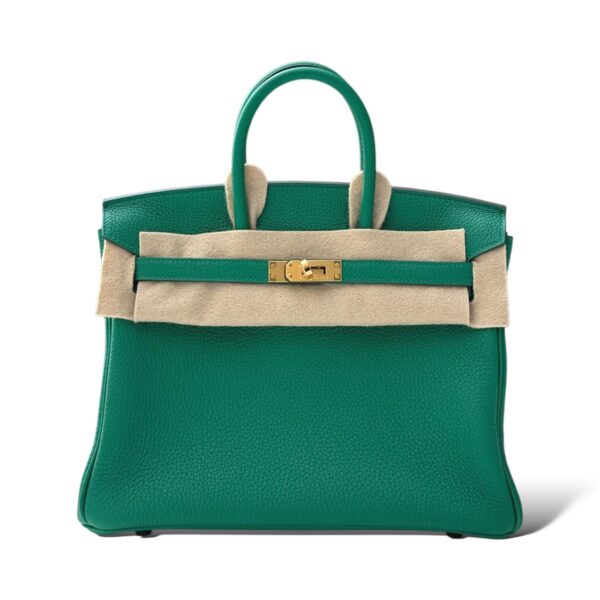 Hermes Birkin 25 Vert Vertigo Togo GHW