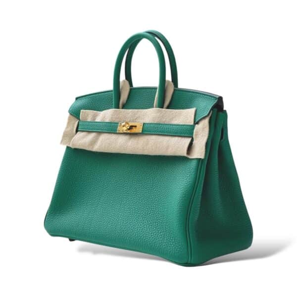 Hermes Birkin 25 Vert Vertigo Togo GHW - Image 4